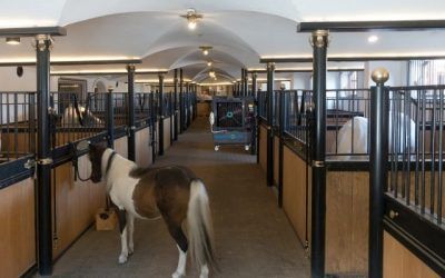 refrigerador_evaporativo_ecologico_portatil_establo