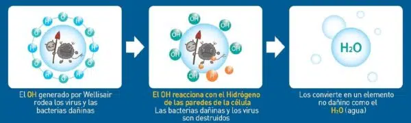 OH_RADICAL HIDROXILO