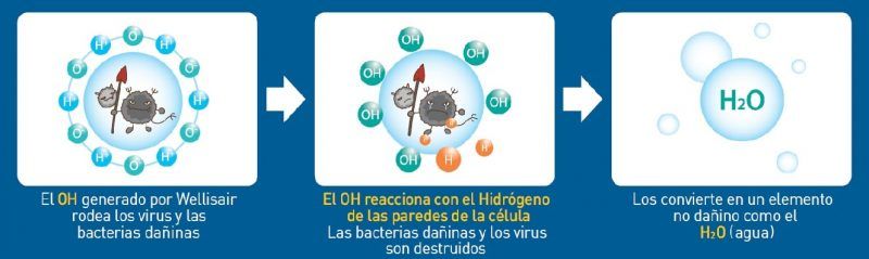 OH_RADICAL HIDROXILO