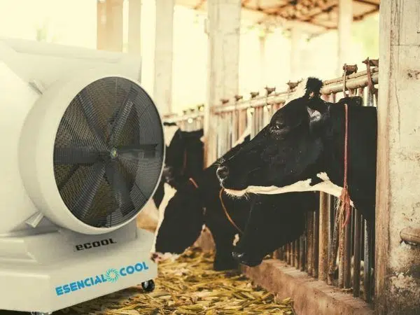 aire_acondicionado_evaporativo_establo