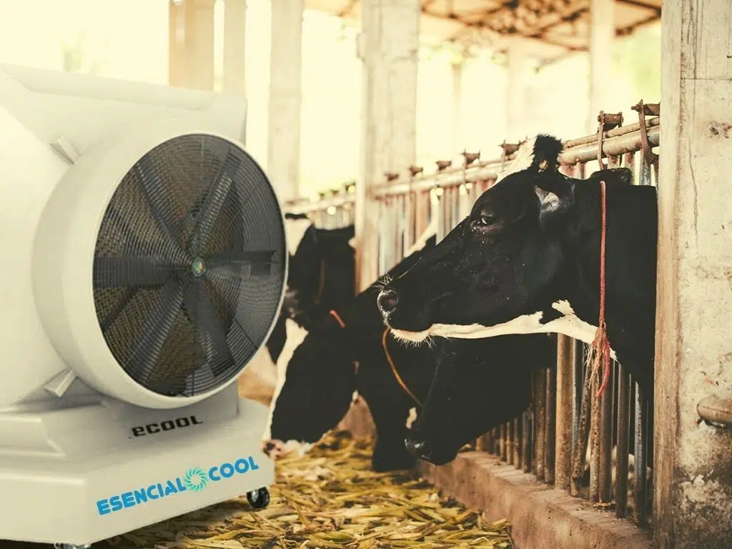 aire_acondicionado_evaporativo_establo