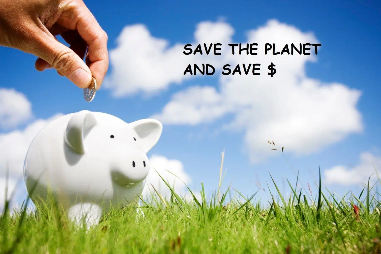 SAVE MONEY_ECO COOLER